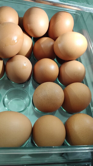 伊势:"我又又又又又又来买了" - 京东