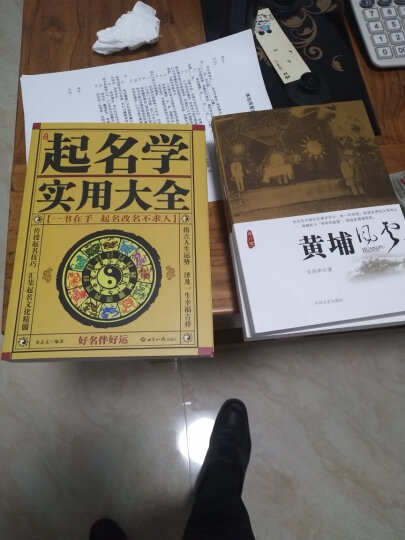 中國起名學實用大全 起名字的書中國人給寶寶起名的學問技巧周易大師