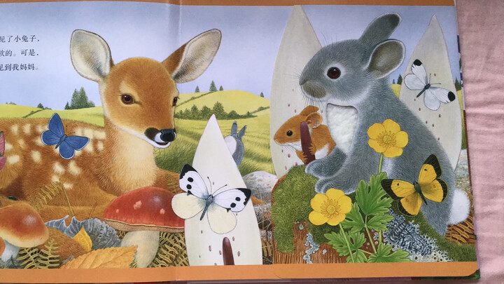 动物朋友翻翻触摸书 小鹿找妈妈:"京东活动时入手的,这本触摸书很大
