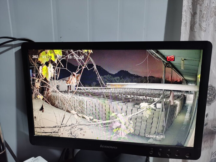 全彩监控画面非常给