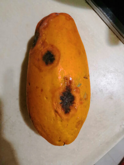 [晒单帖]这就是你们所谓的青皮木瓜?呵呵&hell.