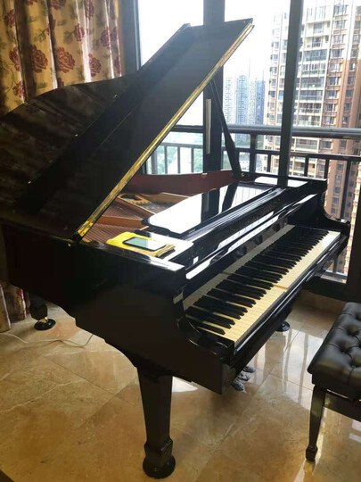 玩具乐器  键盘乐器  钢琴 施尔曼(schirman)  施尔曼(schirman) 商品