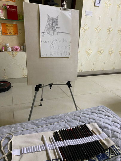 中盛画材中盛素描大套装:"很不错,学习素描基本入门.值得拥有.