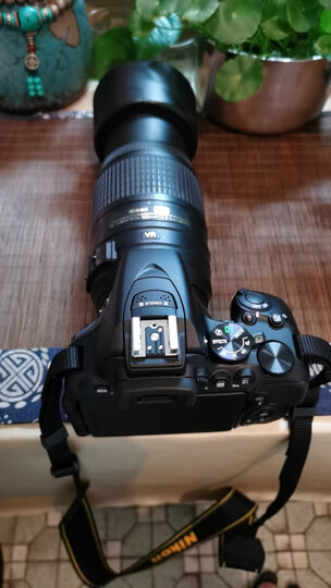 尼康(nikon)d5600 单反机身 数码相机 (轻巧便携 wifi连接 可翻转触摸