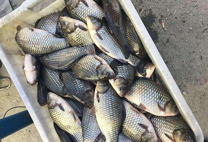 [晒单帖]鱼线质量很好,主线子线都搭配一起的,方便.