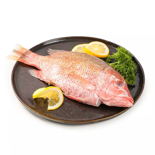 领鲜派三去海红鱼:"质量很好已经连续购买一百多条,野生的味道不错