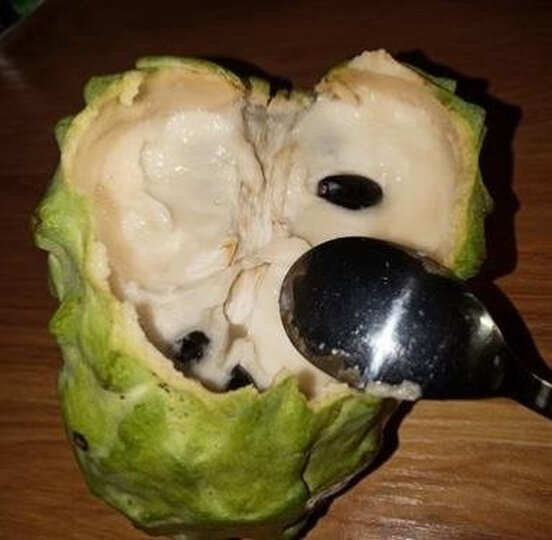 四叔公果蔬:"去年在店里买过释迦果～果子特别熟,奶甜奶甜的～～而且