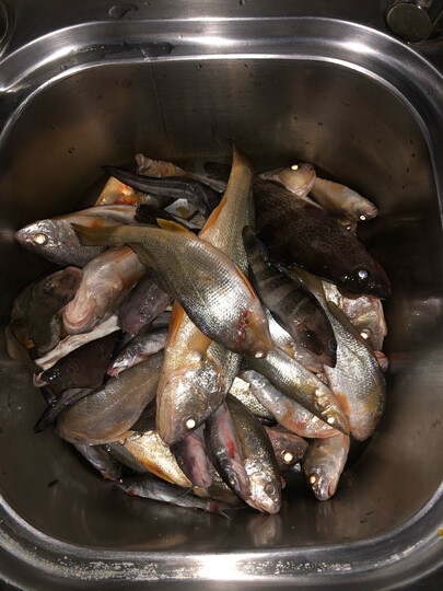 北溟鱼:"长度刚好 手感很舒服 2斤石斑直飞 外观看起来高大上 做工