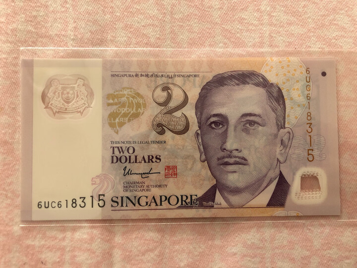 新加坡2新元塑料钞,价格有点点高,但还可以接受,品相不错,真伪待查