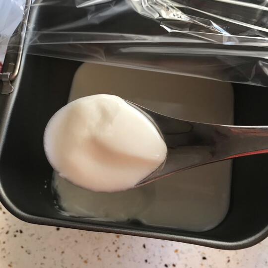 安琪酵母酸奶发酵菌1g*8袋自制老酸奶菌粉 乳酸菌益生菌酸奶发酵剂买