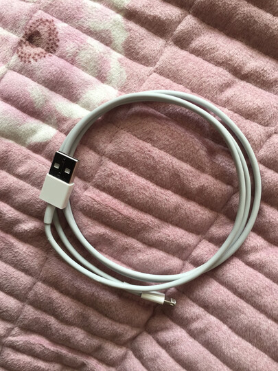 驰界苹果数据线ipad air/mini/6:"感觉挺好的,充电挺快的,线也不容易