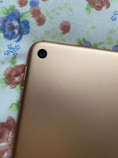 appleipad mini(第五代):"摄像头处有划痕,后来找京东客服处理了,结果