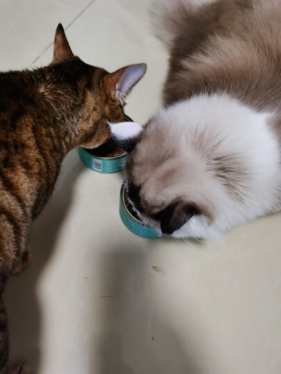 凯锐思红肉罐头170g*8:"适口性:第一次购买,因为性价比高,便宜实惠.