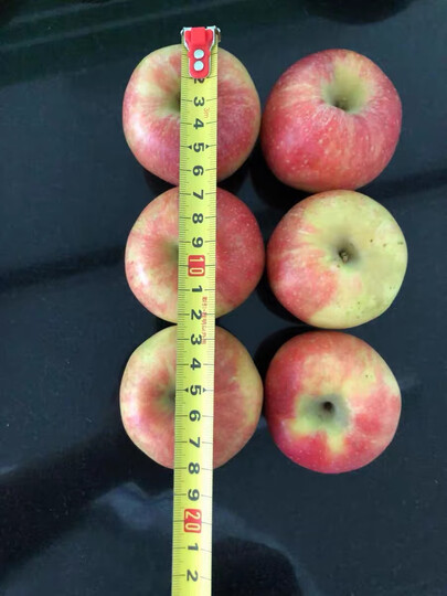 枝纯清谷田园 嘎啦果/艾芙果 苹果 75-80mm pet盒 6粒装:"一直购买