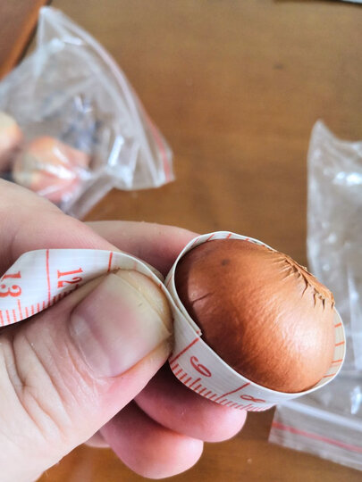 实物远不不如图片描述,偏小周长平均只有9厘米