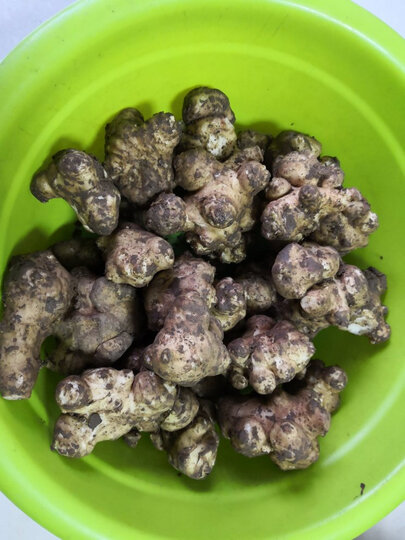 洋生姜块头较大,很嫩,是自己喜爱的菜品,腌制后会很可口,值得购买.