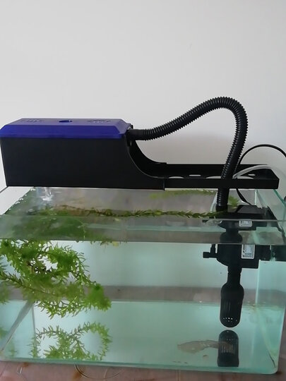 森森三合一过滤器鱼缸上部过滤盒多功能潜水泵滴滤盒 js-400 过滤棉1