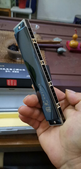 国光限量版专业演奏口琴24孔复音口琴c调(黑色) 晒单图