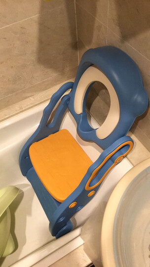 世纪宝贝(babyhood)儿童马桶宝宝坐便器婴儿便盆 幼儿男女小孩尿盆 新