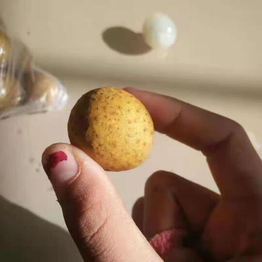 甜果源:"物流超级快,客服人超级实在,龙眼晶莹剔透,糖分超级足,特别