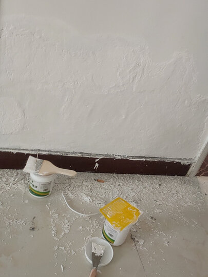 世卿补墙膏/漆:"真的很好用,墙面被水泡了,墙皮都脱落了,一直拖着没弄