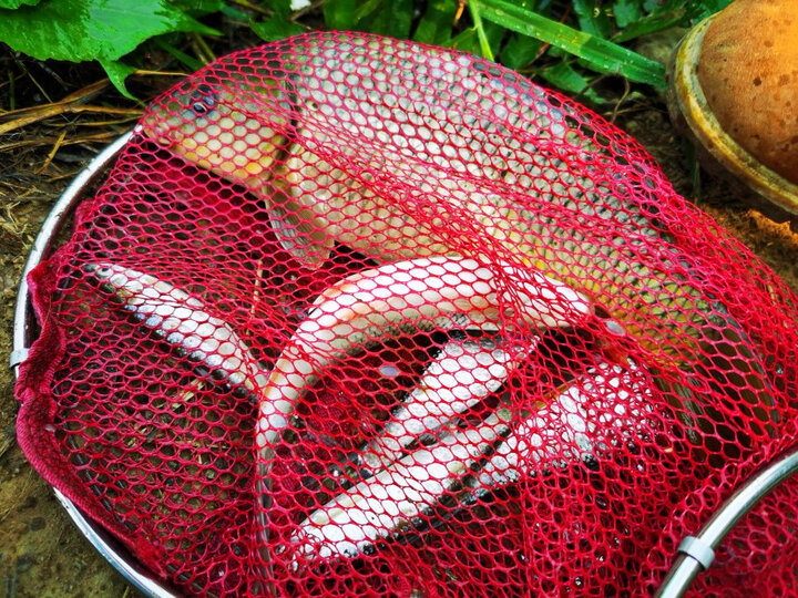 应对出口很好漂效果特别好老滑鱼也能轻松做工质量都很好