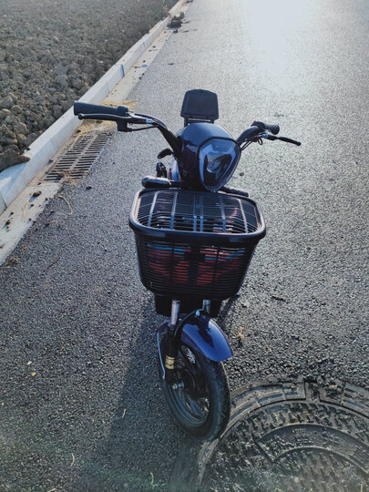 摩托车/电动车  摩托车  电动摩托车  麦燊tdt001z  麦燊tdt001z 商品