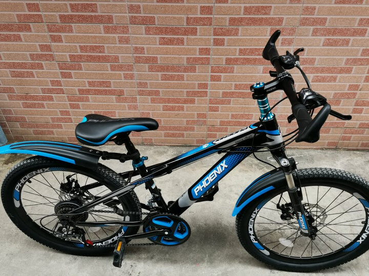 凤凰(phoenix):"单车整体质量不错,对动手能力强的人安装倒也不难