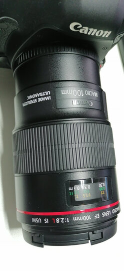 佳能ef 100mm f/2.8l is usm:"很不错的一款定焦镜头!