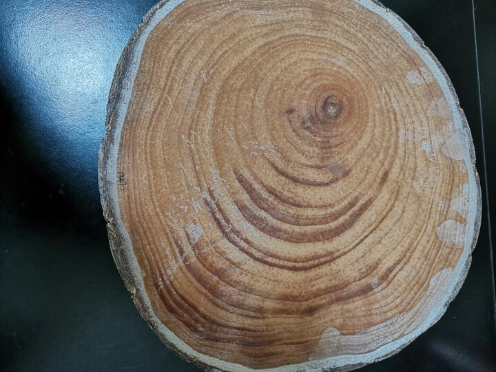 陈州 银杏木砧板实木.