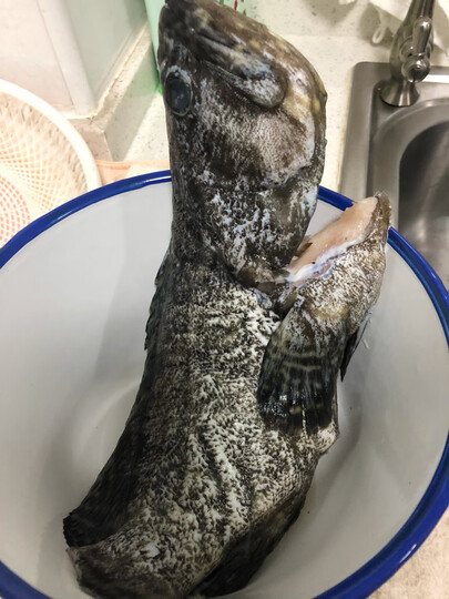 仙泉湖三去珍珠斑鱼700g:"量足味鲜,一如既往合作愉快" - 京东