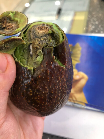 京觅进口牛油果:"坏了的" - 京东