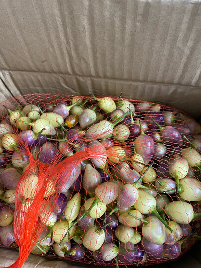 七彩果已收到 太小了 还大小不一样 各人喜欢吃啦 不知道啦不啦