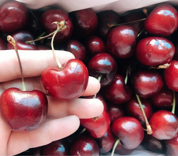 车厘子?的个头挺大的,口感属于那种偏软的,总体来说还不错