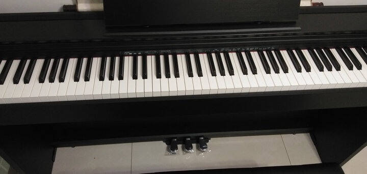 卡西欧大牌子,值得信赖.手感,音色挺不错.