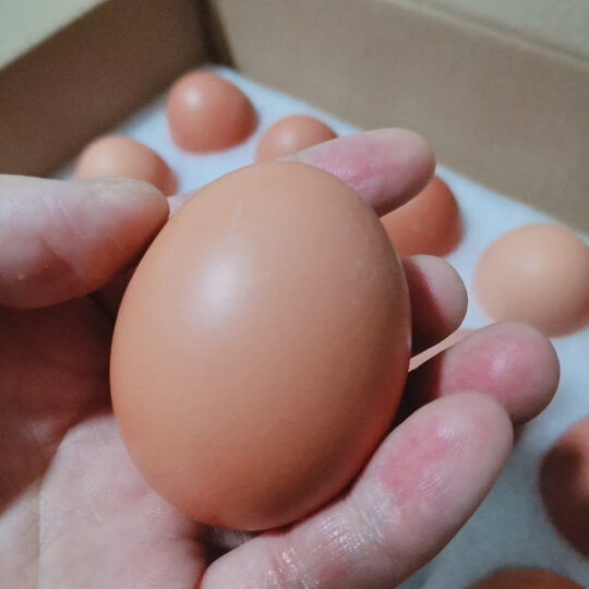 德青源:"一个个可爱的小鸡蛋,壳上面都有超级,包装精美有档次,鸡蛋收