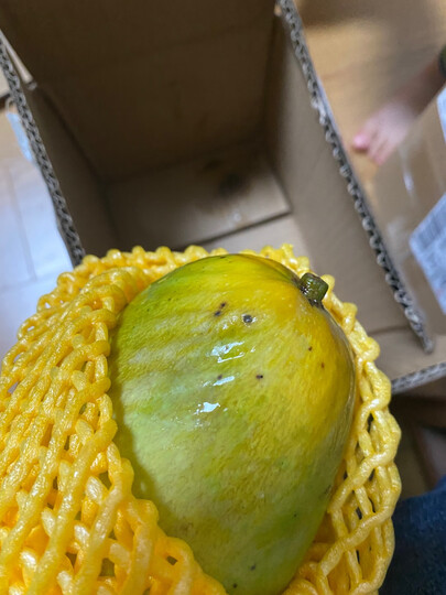 芒果坏了一个,烂了半个