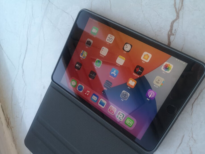 appleipad mini(第五代):"配送速度很快,使用很方便" - 京东
