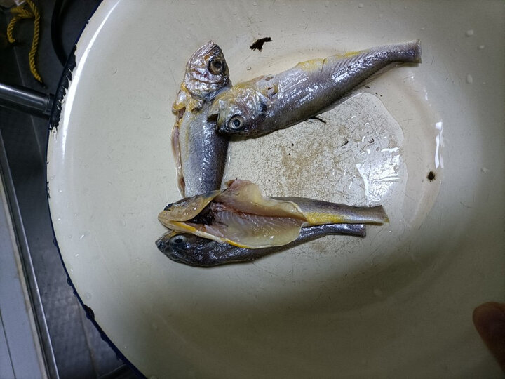 小黄花鱼:"非常新鲜,收到时京东师傅用保温箱送过来的,打开乘鱼的袋子