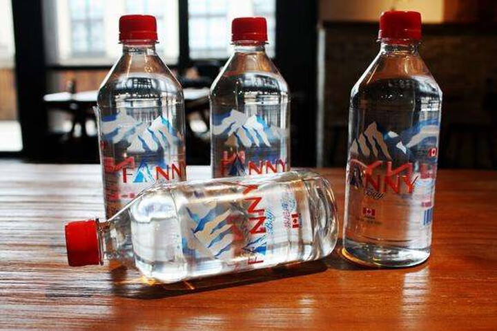 芬尼湾(fannybay)加拿大进口饮用天然水500ml*12瓶整箱 弱碱性小瓶装