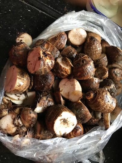 芋头五斤,烂的三斤多,都是从里面坏剩下的都不敢吃了.