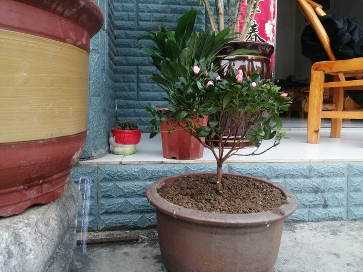 举报    |             分享            