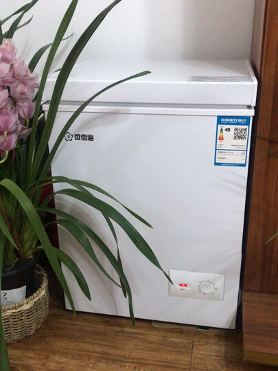 香雪海:"外形外观:漂亮!容量大小:比想象的大多了!太爱了." - 京东