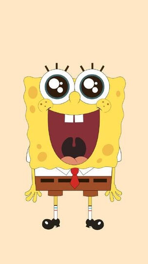 举报    |             分享