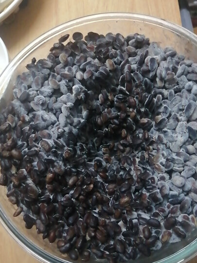 刚做好的纳豆,用黑豆做的.
