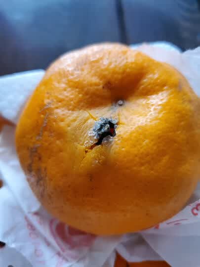 耙耙柑这是最近的第三.