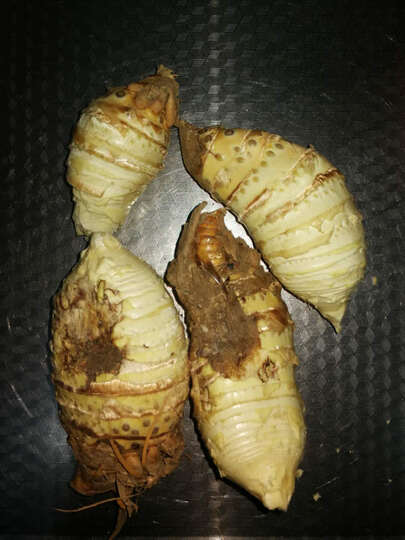 储山:"冬笋挺新鲜的,就是挺小的,还有坏的,店家还不错,包赔了,就这样