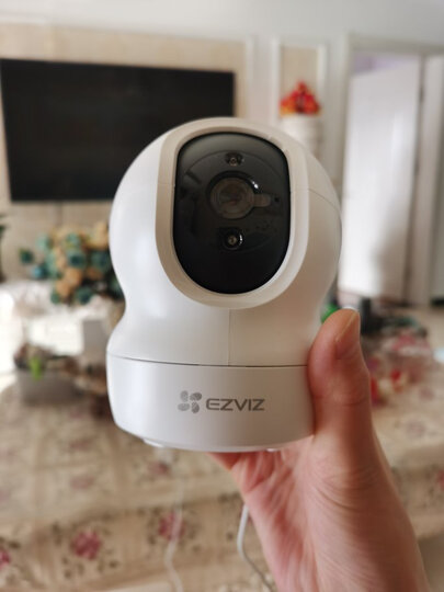 萤石cp1:"为了能看见毛孩子天天在家的日常,装了个探头,外观漂亮,清晰