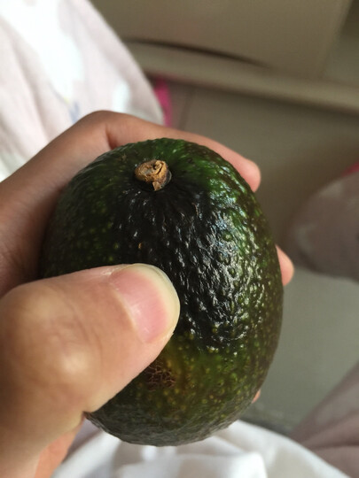 这牛油果这么多坏的