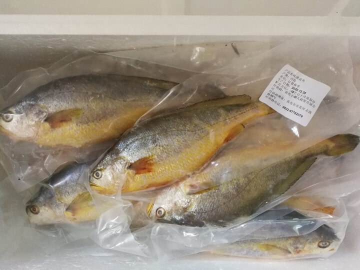 鱼不错,已经是第二次.